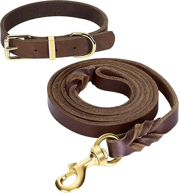 Leather Collar with Leash